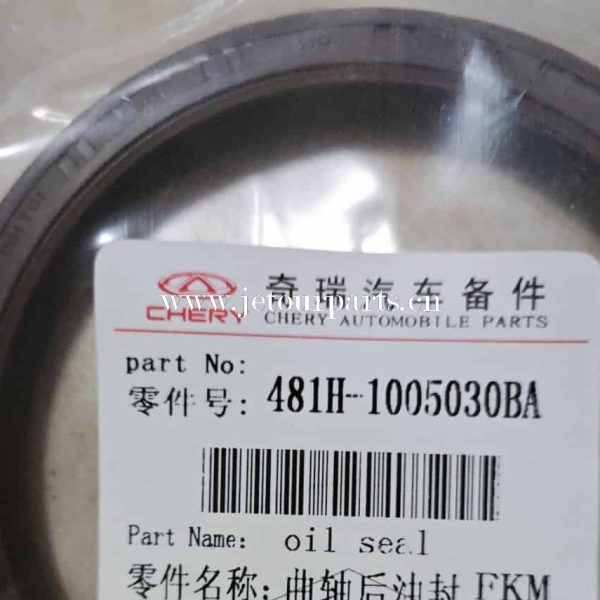 481h 1005030ba shaft sealing ring 224