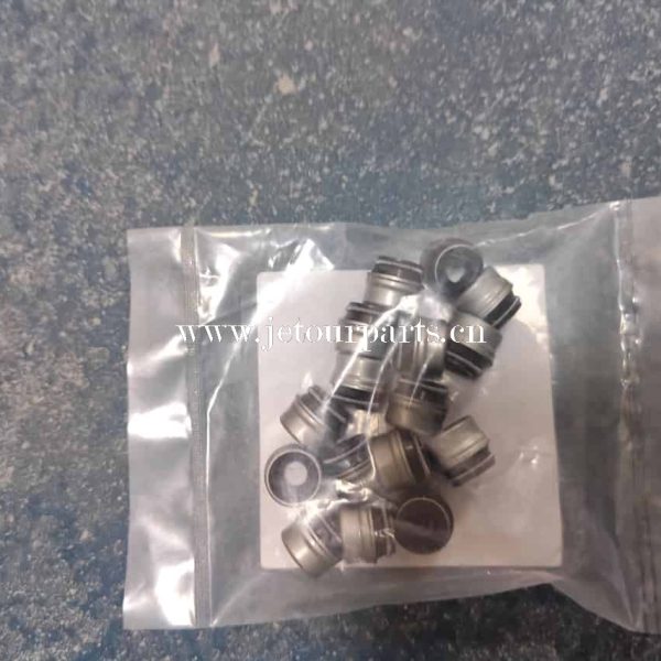 481h 1007020 valve sealing 228