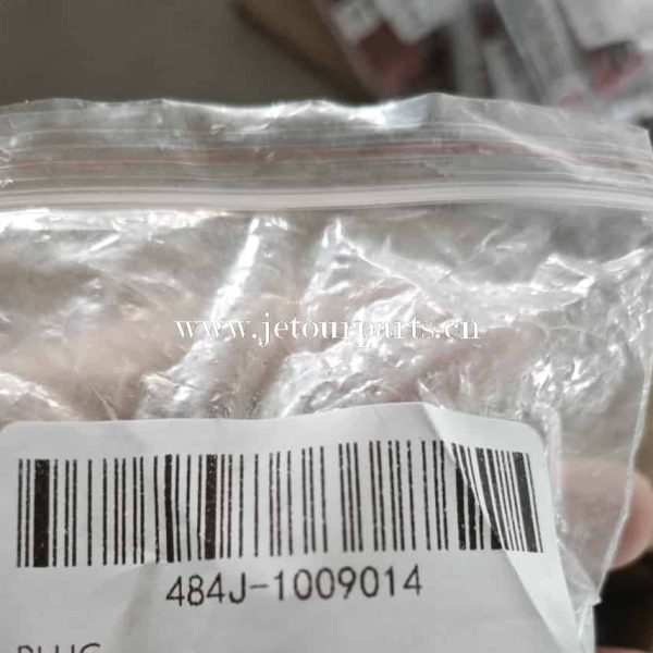 484j 1009014 plug 1705