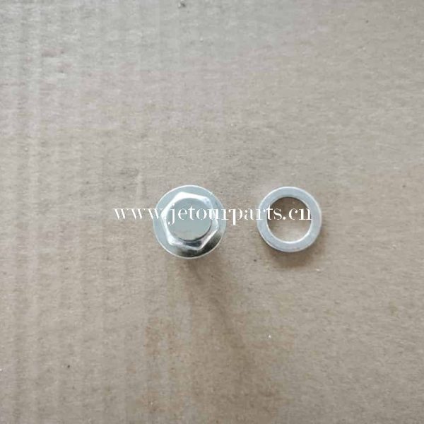 484j 1009014 plug 1706