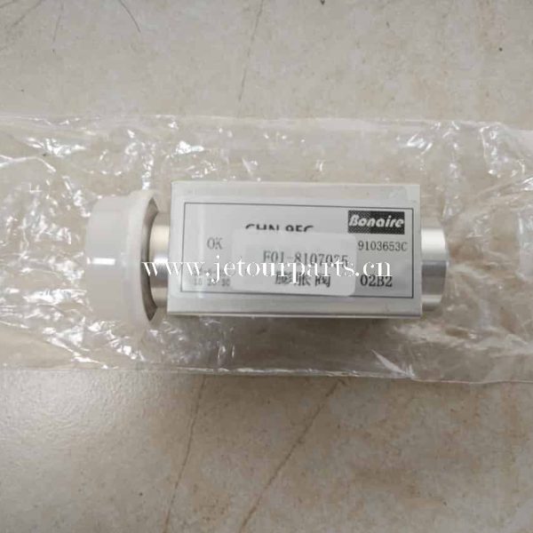 f01 8107035 विस्तार वाल्व 507