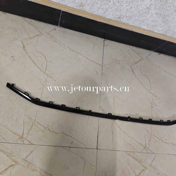 f16 2803585ca trim strip frt bumper lwr 771