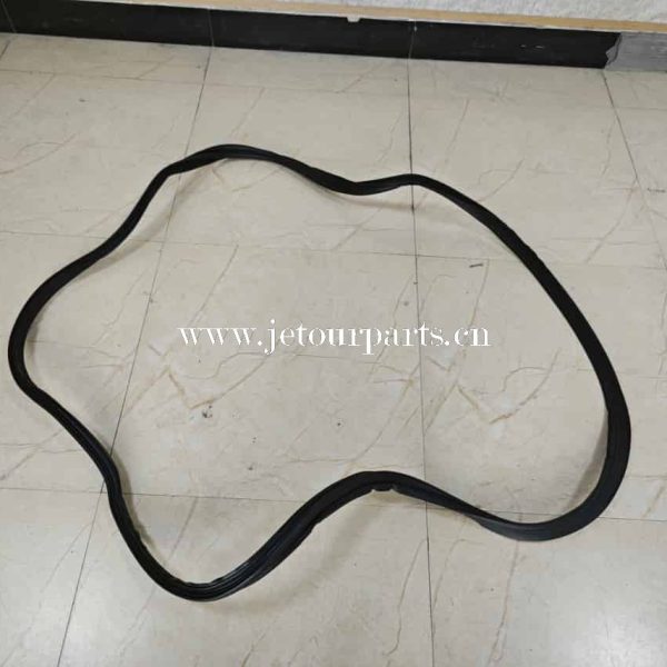 f16 6307170 sealing strip back door 973