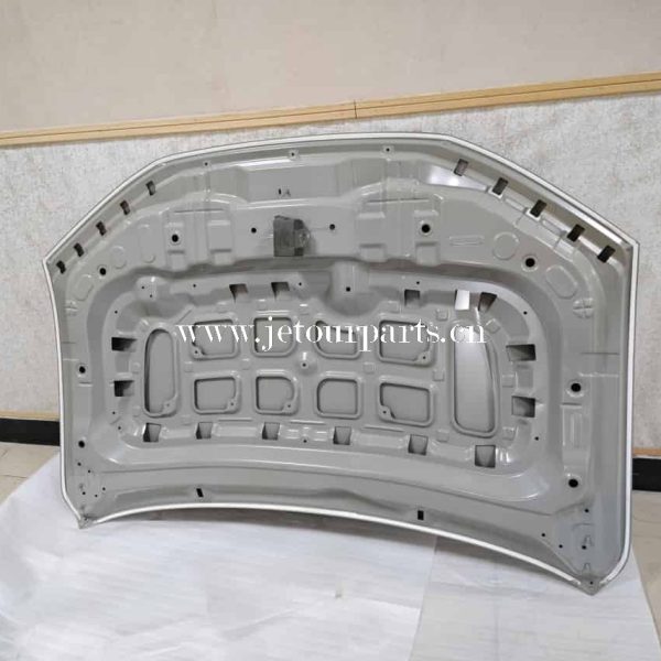 f16 8402010ca dy hood assy eletrophoresis 995