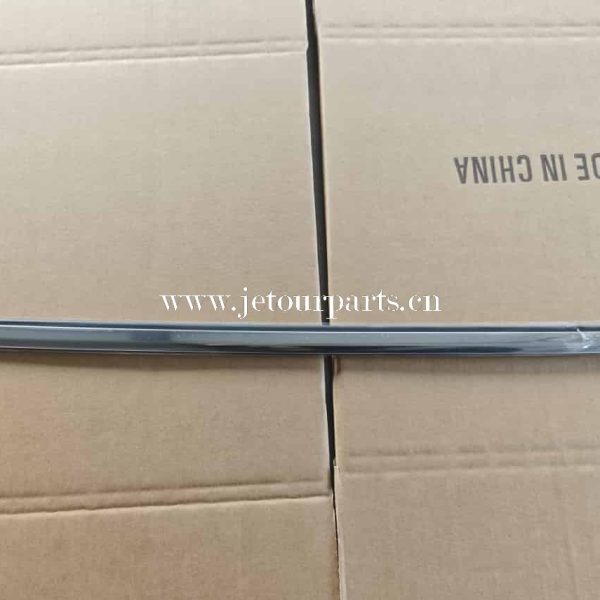 f18 6207210 trim strip rr dr lh 1225