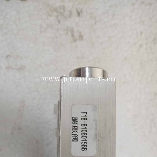 Ensemble de soupape d'expansion f18 8108015bb 1255