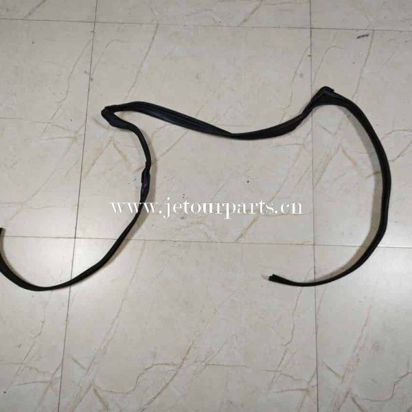 f20 6207112 track strip rr dr rh 1344