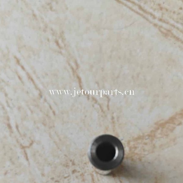 f4j16 1003018 vavle guide ex 1495