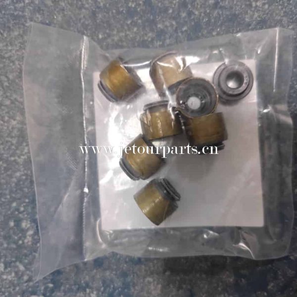 f4j16 1007071 valve sealing 1503